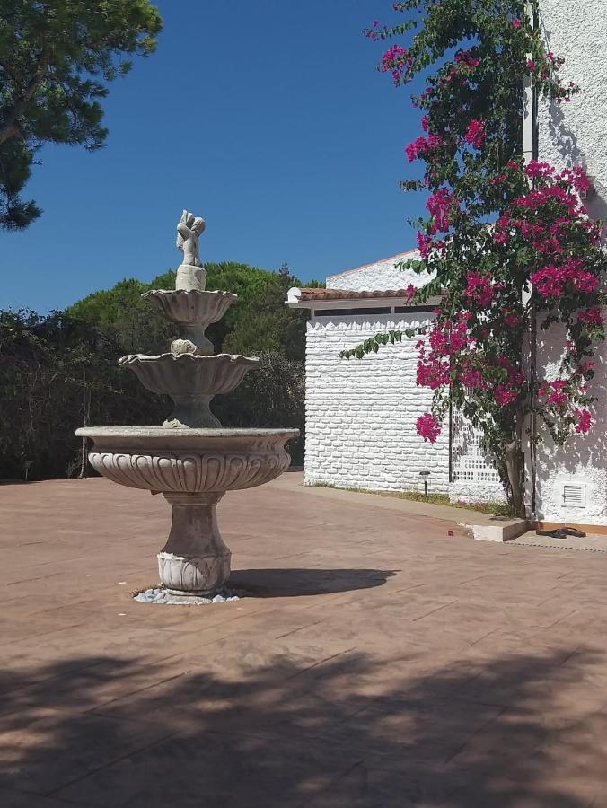Entre Pinos Y Playa Apartment Matalascanas Bagian luar foto